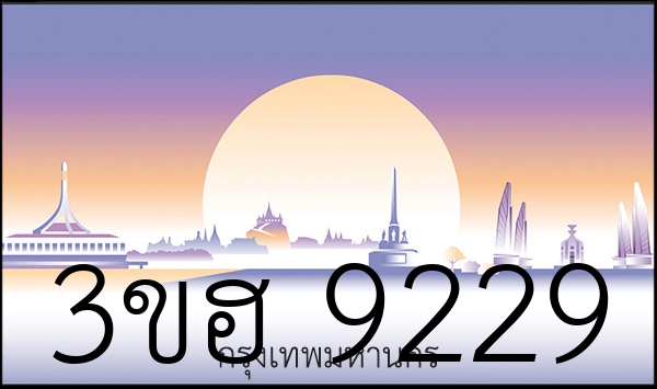 3ขฮ 9229